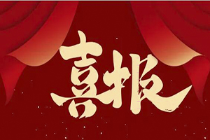 诚载使命 信铸辉煌│玩球(中国)一站式服务平台荣获泰州2023年度“守合同重信用”企业！