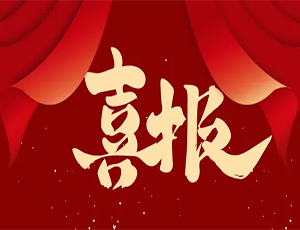 玩球(中国)一站式服务平台荣膺3A“守合同重信用”企业